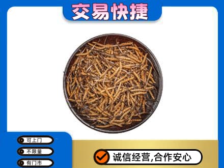 嘉峪关高价回收散虫草